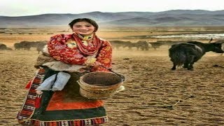 Nomad womans life in Tibet DrokpaEng Chin Subtitles Full Documentary [upl. by Trix]