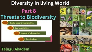 biodiversity part 8 threat to Biodiversity Diversity in Living world zoologylecturesforneet [upl. by Nicolea799]