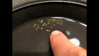 Gold panning on Lynx Creek Arizona Sept 2018 [upl. by Devol322]