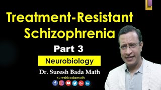 Treatment Resistant Schizophrenia Part 3 Neurobiology [upl. by Elwee]