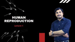 Human Reproduction Lecture1  Dr NS JAIN [upl. by Alios]