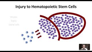 Aplastic Anemia [upl. by Ottavia]