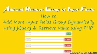 Add Remove Group of Input Fields Dynamically using jQuery [upl. by Akaenahs]