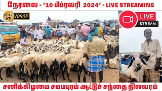 திருச்சி சமயபுரம் ஆட்டுச் சந்தை நேரலை  Trichy Samayapuram aattu santhai Live  Tamilnadu Pets [upl. by Adnohsor522]