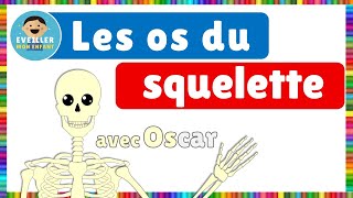 Les os du squelette [upl. by Minardi]