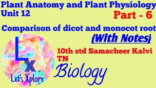 Comparison of Dicot and Monocot Root Plant Anatomy and Plant Physiology Unit 12 10th Std Biology [upl. by Oremodlab]