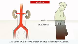 Nieraandoening  Oorzaak en behandeling [upl. by Glori]