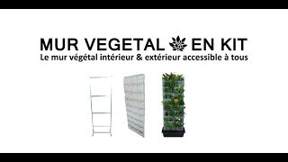 Le mur vegetal en kit [upl. by Hanako]