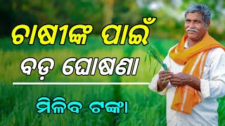 Odisha Fasal Bima Yojana 2024  PMFBY  Pradhan Mantri Fasal Bima Yojana [upl. by Elime729]