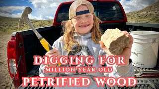 Digging for PETRIFIED WOOD Bruneau Woodpile Idaho [upl. by Assir]