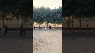 Top10 class cricket 🏏 🔥 S3umairkhanlefty shortsfeed [upl. by Ainegul608]