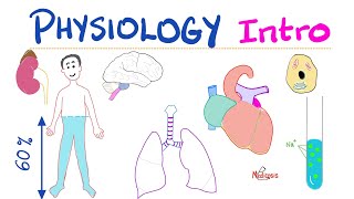 Physiology Introduction  What is Physiology  A Complete Playlist  Doctors Nurses Undergrads [upl. by Ling]