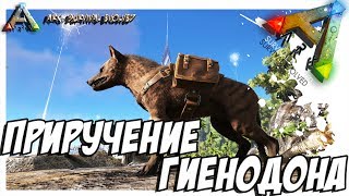 ARK Survival Evolved  ПРИРУЧЕНИЕ ГИЕНОДОНА TAMING HYAENODON [upl. by Reginald]