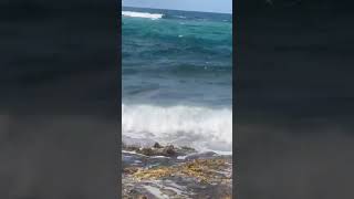 Evang Benicio molina orando por puerto rico  algo grande viene [upl. by Seymour]