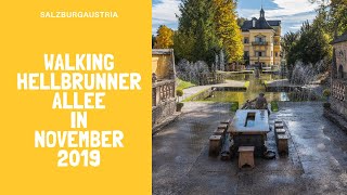 I walked Hellbrunner Allee in November 2019  Walk or Bike to Hellbrunn Castle from Salzburg [upl. by Mandeville210]