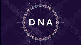 Introduction to DNA [upl. by Dj390]