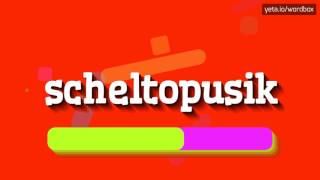 SCHELTOPUSIK  HOW TO PRONOUNCE IT [upl. by Idnam]