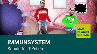 Immunsystem  Schule für TZellen [upl. by Annaed558]