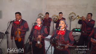 Mariachi Los Palmeros de Ojocaliente Zac  El Milagro de Tus Ojos [upl. by Leland]