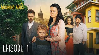 Wounded Birds  Episode 1  Multi Lang Subtitles Turkish Drama  Yaralı Kuşlar 2019 [upl. by Sacks880]