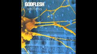 Godflesh  Go Spread Your Wings [upl. by Nahgrom161]