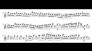 Giuseppe Gariboldi Etudes mignonnes for flute op131 NO 1 [upl. by Ecad]