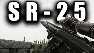 SR25 Main Build  Escape From Tarkov [upl. by Naasar446]