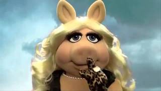 Miss Piggy  pretty little liars Theme Song  Parody [upl. by Yemorej]