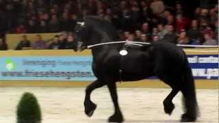 Olrik 383Stallion show Leeuwarden 2012 [upl. by Eedak]