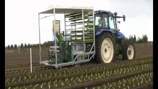 Fully automatic planting machine  4 row vegetable transplanter [upl. by Conn]