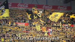 Krefeld Pinguine Die Besten Fans der Welt [upl. by Amri]