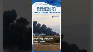 Diserang Hizbullah Tanpa Henti Ratusan Ribu Hektar Lahan di Israel Terbakar Bak Lautan Api [upl. by Esorylime]