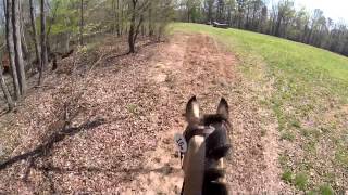 Katharine Knauz amp Poppyfields Tristan  Preliminary XC  FENCE Horse Trials 2014 [upl. by Ativ516]