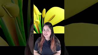 ESSENTIAL WHORLS OF FLOWER  Biology For NEET  Kajal Singh [upl. by Ced749]