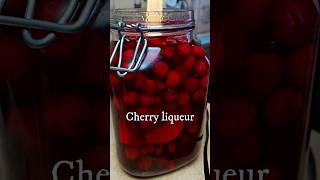 Cherry Liqueur Romanian Drink Visinată [upl. by Bible]