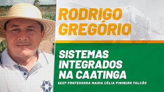 EPTEC  SISTEMAS INTEGRADOS NA CAATINGA [upl. by Nosredneh]