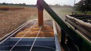 Stover Farms Corn Harvest 2013 [upl. by Publia]