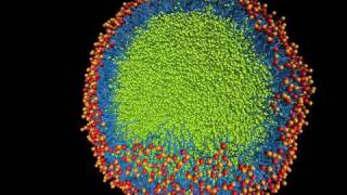 Nanoscale emulsion formation [upl. by Kloster]