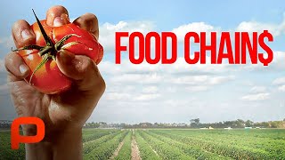 Food Chains Full documentary in Spanish and English [upl. by Reyam]