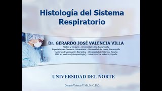 GV Histología del Sistema Respiratorio quotresumenquot [upl. by Paddie]