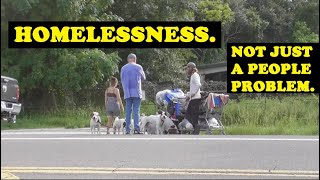 SADLY ANIMALS SUCH AS THIS PACK OF SEMIBEHAVED DOGS HAVE ISSUES WITH HOMELESSNESS ALSO Zephyrhills [upl. by Azyl]