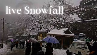 Narkanda Snowfall Today  Live Snowfall  Nnarkanda tourist places [upl. by Flita145]