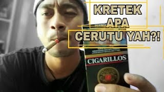 Review djarum cigarillos ini tuh sebenernya kretek apa cerutu yah [upl. by Papst]