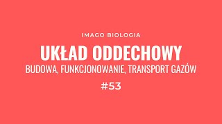 Układ oddechowy [upl. by Rosemari528]