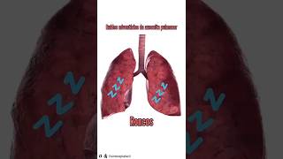 Conheça os principais RUÍDOS ADVENTÍCIOS da ausculta pulmonar 🫁🩺 [upl. by Nazar580]