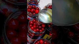 Secrets to Perfectly Harvesting Cherries amp Apricots for Winter Prep ruralharvest [upl. by Collette542]