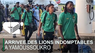 CAN 2023  ARRIVEE DES LIONS INDOMPTABLES DU CONTINENT A YAMOUSSOUKRO [upl. by Acyre]