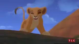 Le Roi Lion Simba dessin animé film complet en francais pour les enfants [upl. by Attelrac]