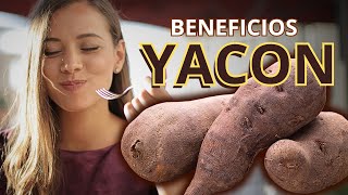 Yacón El Superalimento Andino que Transforma tu Salud  Beneficios y Propiedades [upl. by Quiteri801]