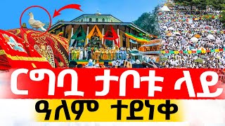 ርግብ በታቦቱ ላይ👉👉ዓለም ተደነቀ‼️👉ርግቦቹ በየካ ሚካኤል ታቦት ላይ [upl. by Kaule]